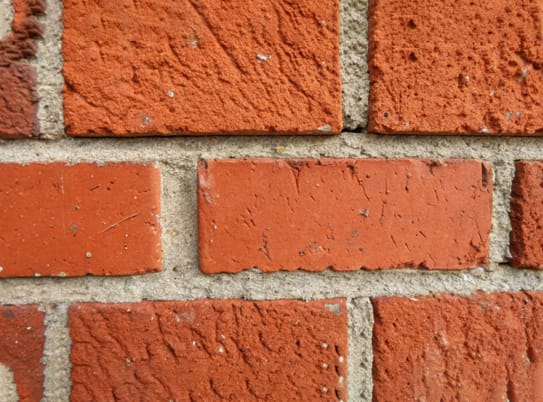 Concrete Pro photo 5